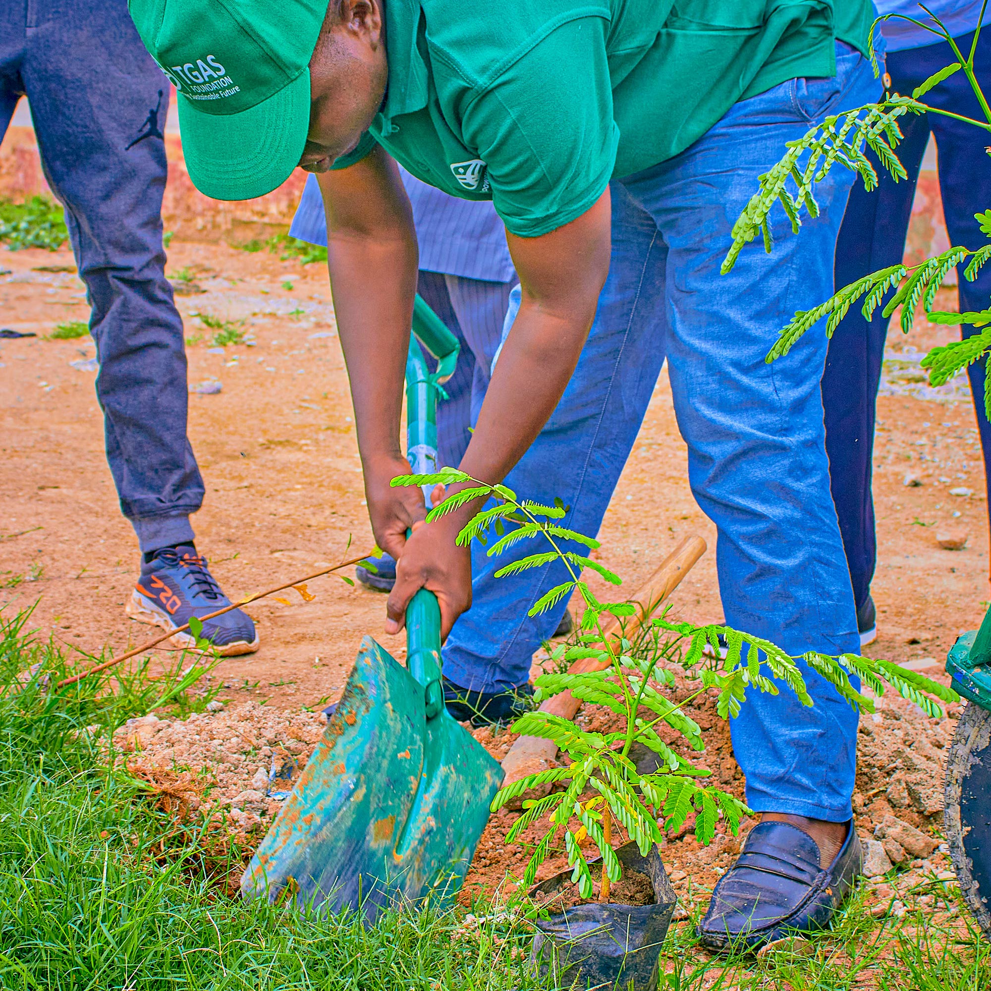 OW TREE PLANTING HELPS PREVENT FLOODING IN NIGERIAN COMMUNITIES